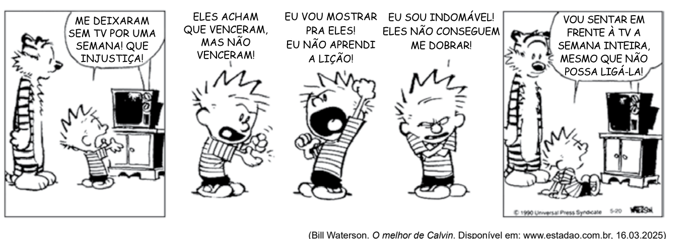 Tira de Calvin usada nas questões 1 e 2.
